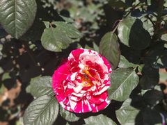 -人民公园(罗湖区)