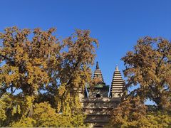 -北京石刻艺术博物馆(五塔寺)