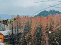 -山王坪喀斯特国家生态公园