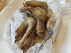 -百利鸽王(紫薇路店)