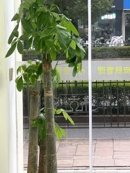 -苗方清颜专业祛痘·皮肤管理