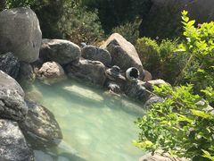 -悦隆庄温泉度假酒店