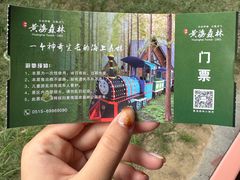 -黄海国家森林公园