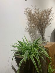 -M+hair salon专业造型沙龙
