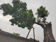 -保定直隶总督署博物馆