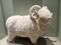 -清真吐鲁番餐厅(牛街店)