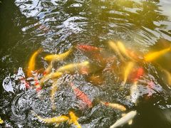 -呀诺达热带雨林