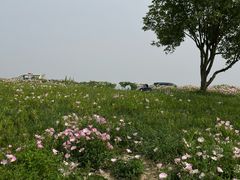 -南北湖风景区