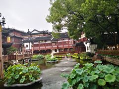 -豫园湖心亭茶楼
