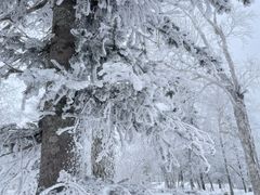 -雪谷