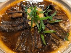 -丁老爷子苏香圆