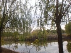 4-顺鑫绿色度假村
