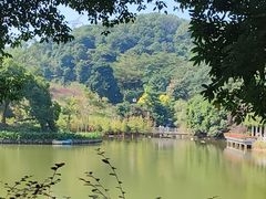 -广州市帽峰山景区