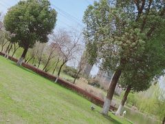 -九里河湿地公园