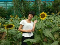 -广州花之恋城堡酒店