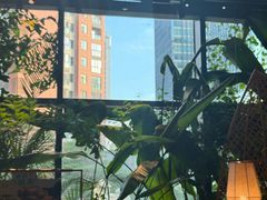 -大头椰·椰子鸡火锅(南宁万象城店)