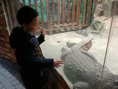 -上海大自然野生昆虫馆(东方明珠·爬宠昆虫探索中心)