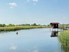 -苏州太湖湖滨国家湿地公园