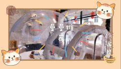 -Mr·Kuma酷么先生雪之乐园