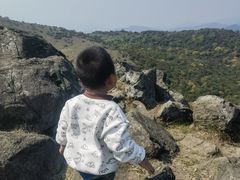 -大姆山草场