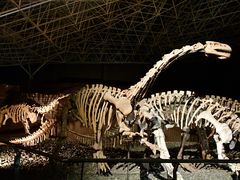 -世界恐龙谷景区