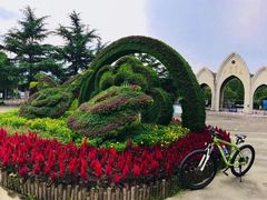 -东平国家森林公园