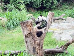-宁波野生动物园