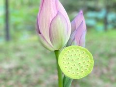 -黄陂区野村谷景区
