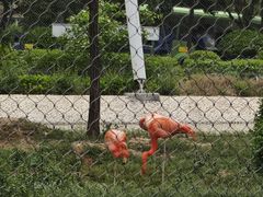 -太原动物园