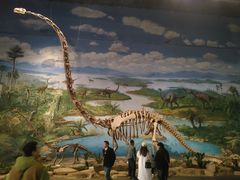 -自贡恐龙博物馆
