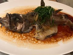 清蒸海石斑-彩丰楼中餐厅·仁恒洲际酒店