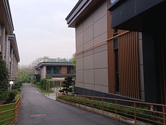 -白鹭湾湿地公园