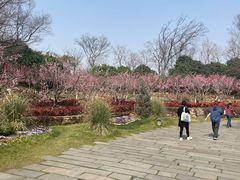 -茅山东方盐湖城景区