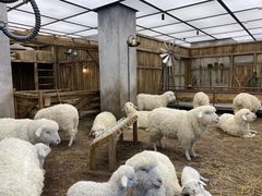 -OUR Bakery(SKP-S店)