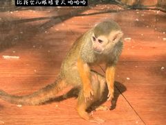 -荆州中山公园动物园