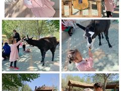 -北戴河集发农业梦想王国