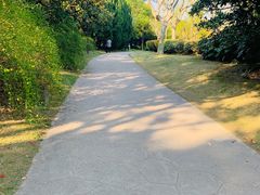 -黄兴公园