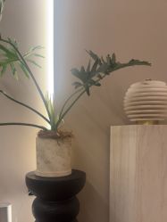 点击看大图 -栖SPA·ONDA ·海菲秀·皑皑科技美肤中心