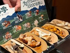 当季野生菌四拼-芸山季·云南山珍菌火锅(人民广场来福士店)