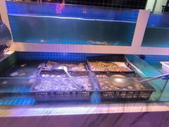 -花西亭·海鲜自助餐厅(瑞城名人酒店)