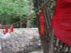 android_upload_pic-蒙山大佛景区