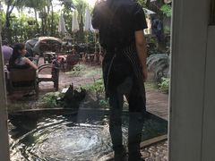 -Fern Forest Cafe