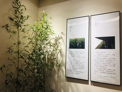 -十二舍·湯物素煮(江泰潤政店)
