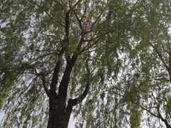 -东坝千亩湖公园