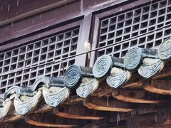 -宝岩生态观光园