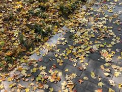 -西安市长乐公园