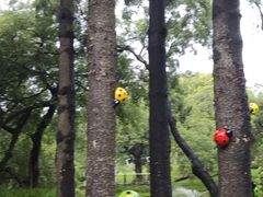 -人民公园(罗湖区)