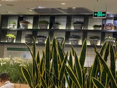 -卡朋西餐(扬名广场店)