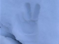 -峡谷浮石林景区