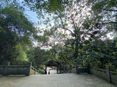 -五泄景区